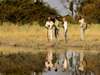Footsteps Across the Delta - walking safari